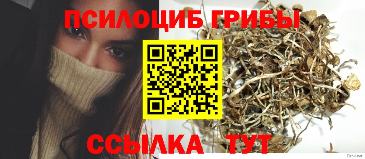 Псилоцибиновые грибы GOLDEN TEACHER  Псилоцибиновые грибы мицелий  Скопин  Вход с VPN 